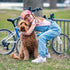 Turtle Fur Kids Quest Trucker Hat HOT PINK