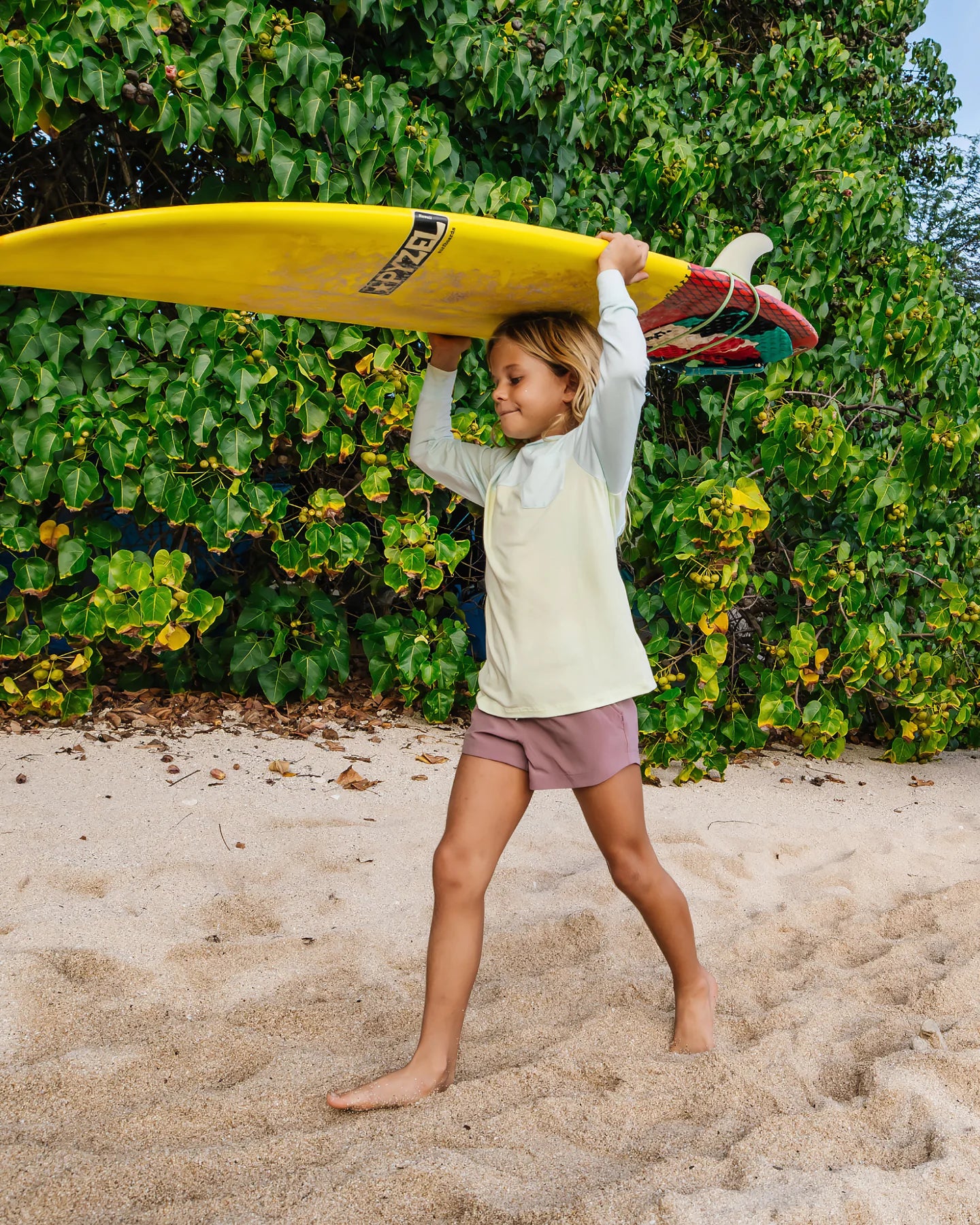 Free Fly Youth Colorblock Shade Hoodie TROPIC SEA / LIME
