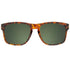 Abaco Dockside TORTOISE / G15