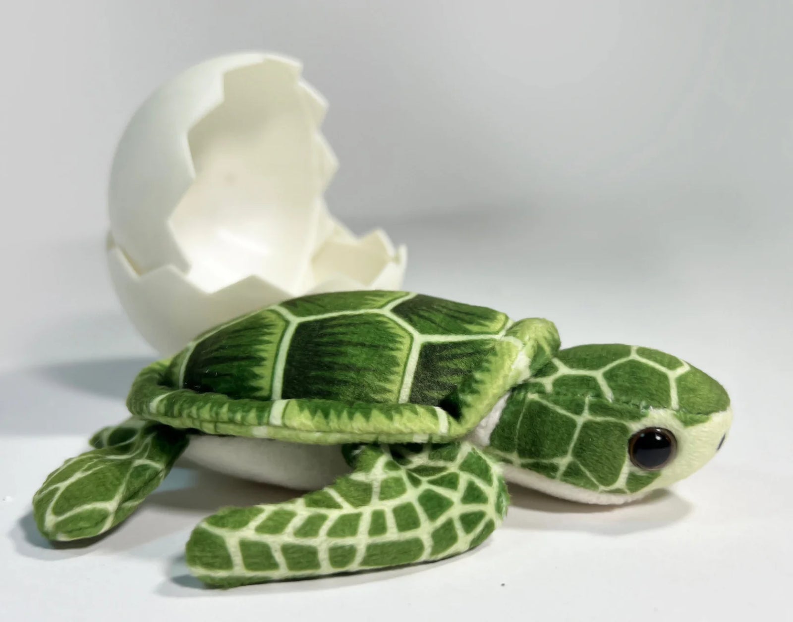 Call Of the Wild Sea Turtle Hatchling Egg