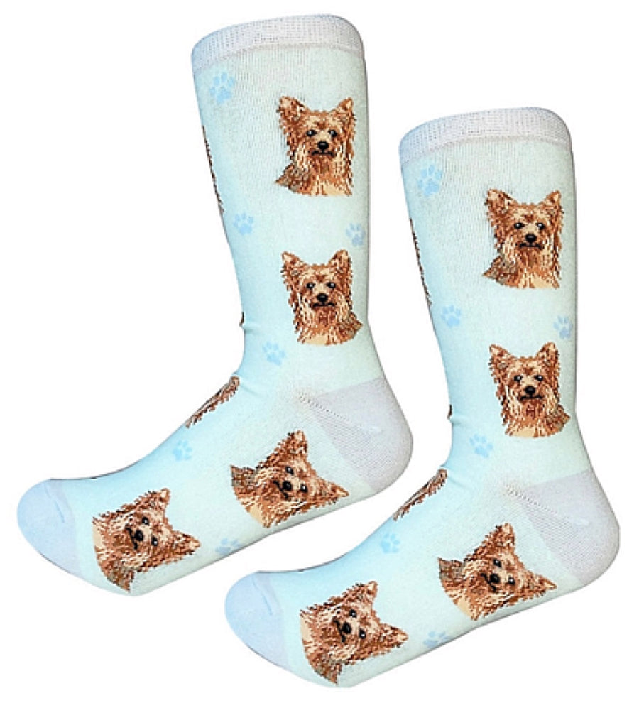 SockDaddy YORKIE