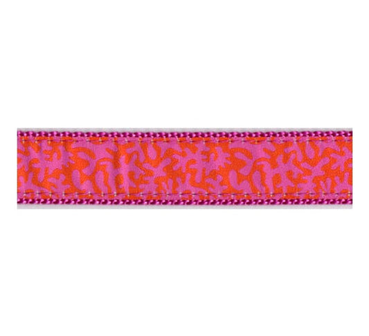 Preston Dog Collar Coral ORANGE / RASPBERRY