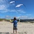 In The Breeze Kite SEAGULL