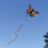 In The Breeze Monarch Butterfly Kite