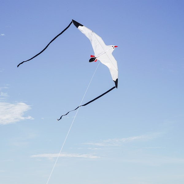 In The Breeze Kite SEAGULL