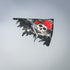 In The Breeze Smokin' Pirate Kite BLACK