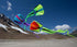 Prisim Bora 7 Single Line BLAZE