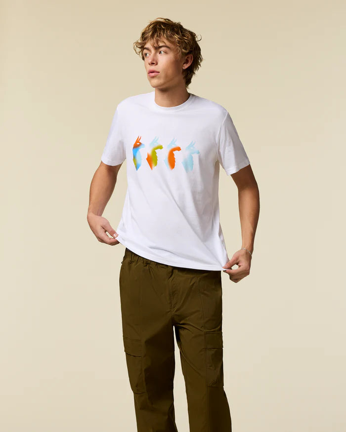Cotopaxi M SS Cuatro Bitmap Tee WHITE