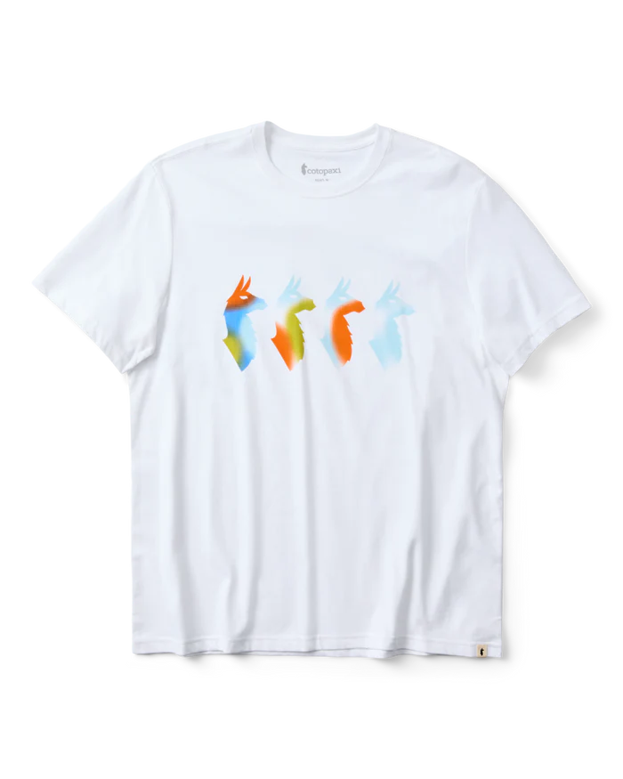 Cotopaxi M SS Cuatro Bitmap Tee WHITE
