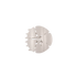 Teleties Small Flat Clip SAND DOLLAR
