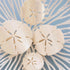 Teleties Tiny Flat Clip SAND DOLLAR