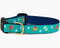 Preston Dog Collar Pickleball TURQUOISE