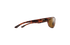 Smith Redding 2 ChromaPop Brown Cat3 TORTOISE