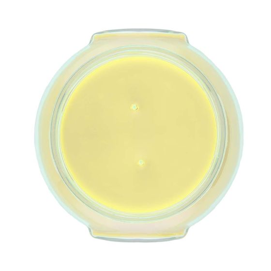 Tyler 22 oz Candle LIMELIGHT